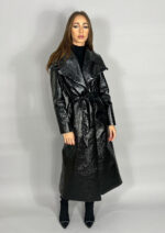 Palton Axis - imagine 2